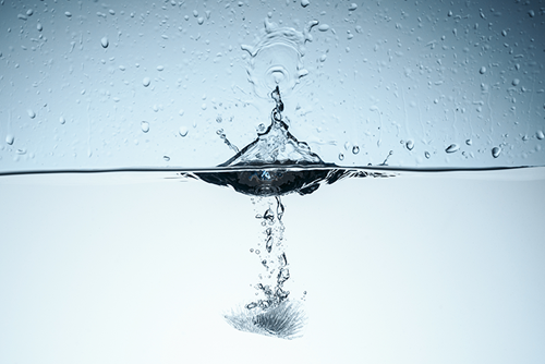 MentorEase_mentoring_software_water_utility